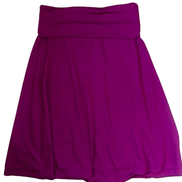 Dresses & Skirts - The North Face skirt